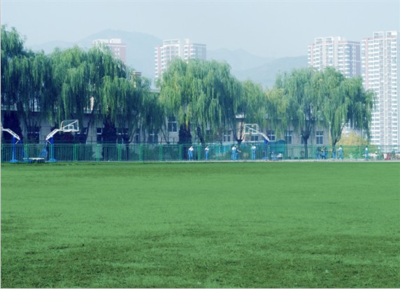 青島滿天星職業培訓學校怎么樣？