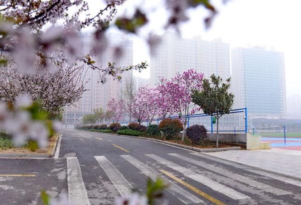 河北大學新世紀函授站成人高考輔導班怎么樣？